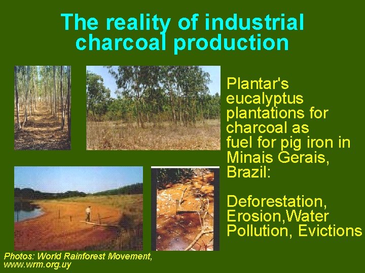 The reality of industrial charcoal production Plantar's eucalyptus plantations for charcoal as fuel for