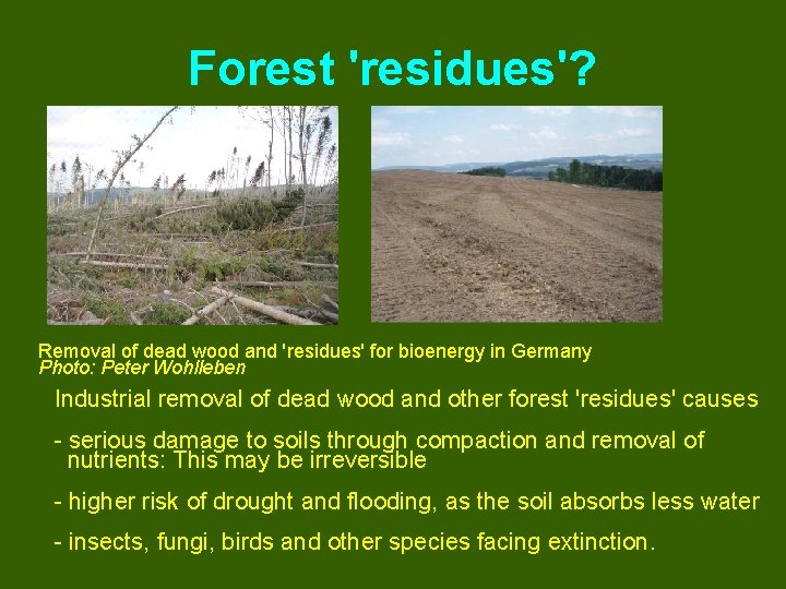 Forest 'residues'? Removal of dead wood and 'residues' for bioenergy in Germany Photo: Peter