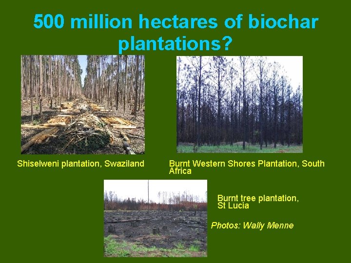 500 million hectares of biochar plantations? Shiselweni plantation, Swaziland Burnt Western Shores Plantation, South