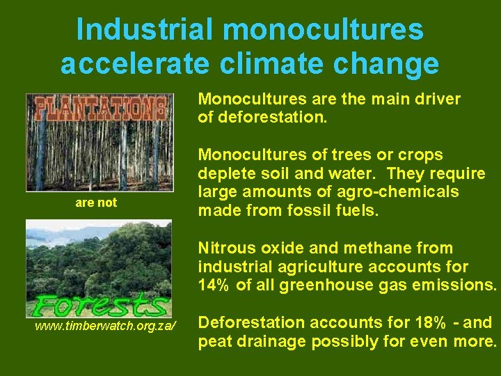 Industrial monocultures accelerate climate change Monocultures are the main driver of deforestation. are not