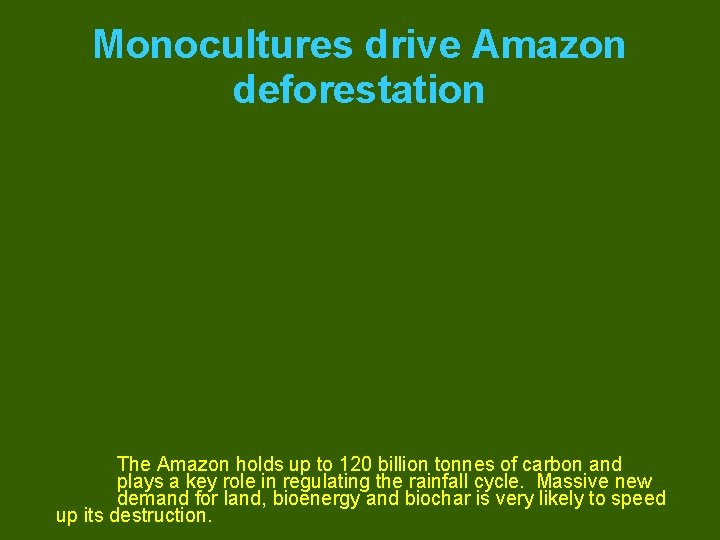 Monocultures drive Amazon deforestation The Amazon holds up to 120 billion tonnes of carbon