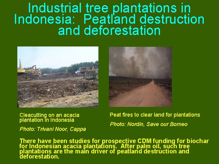 Industrial tree plantations in Indonesia: Peatland destruction and deforestation Cleacutting on an acacia plantation