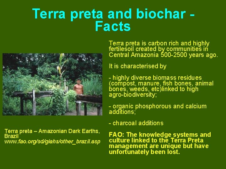 Terra preta and biochar Facts Terra preta is carbon rich and highly fertilesoil created