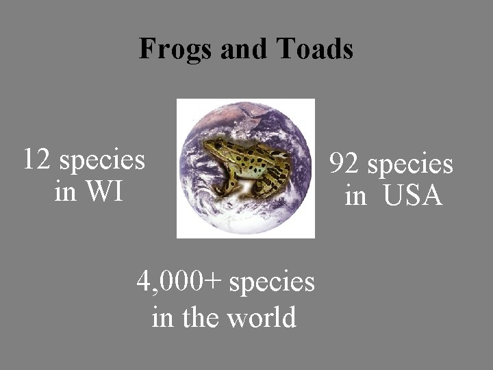 Frogs and Toads 12 species in WI 4, 000+ species in the world 92