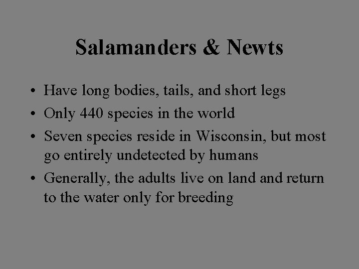 Salamanders & Newts • Have long bodies, tails, and short legs • Only 440