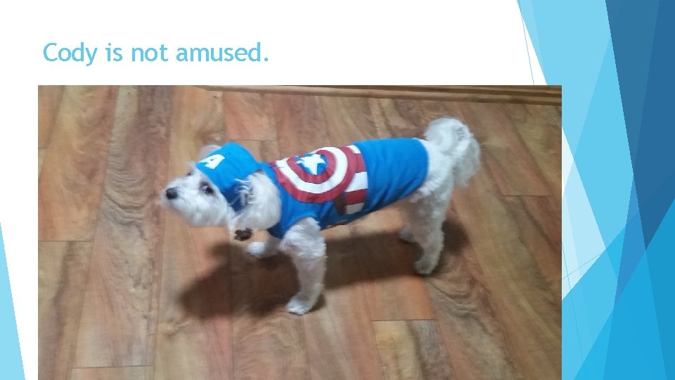 Cody is not amused. 
