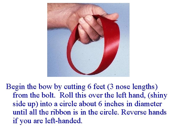 Begin the bow by cutting 6 feet (3 nose lengths) from the bolt. Roll