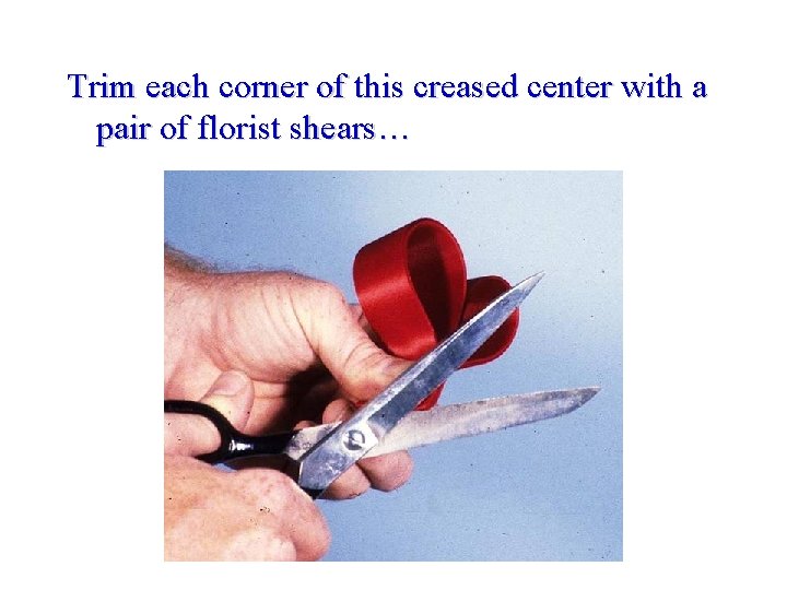 Trim each corner of this creased center with a pair of florist shears… 