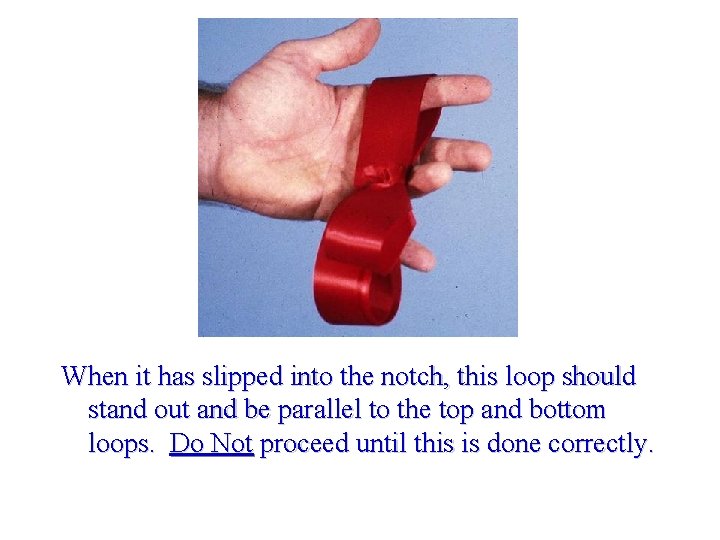 When it has slipped into the notch, this loop should stand out and be