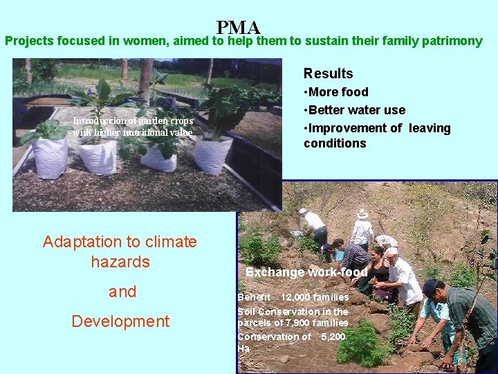 PMA Projects focused in women, aimed to help them to sustain their family patrimony