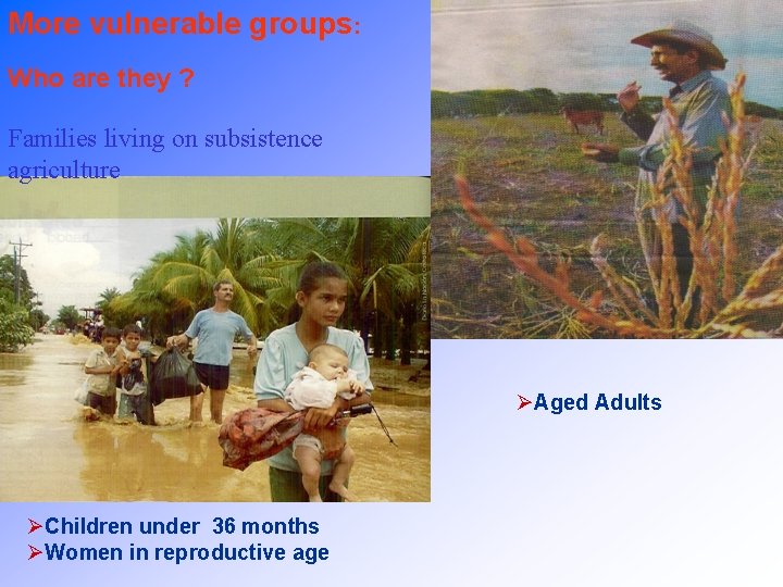 More vulnerable groups: Who are they ? Families living on subsistence agriculture ØAged Adults