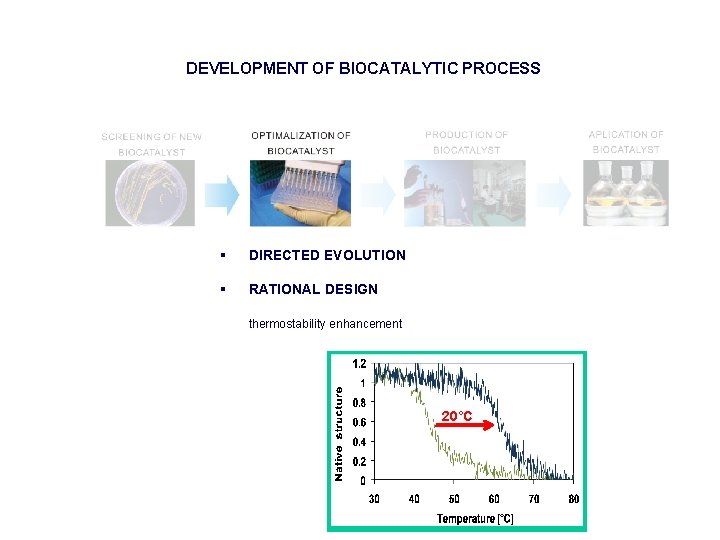 DEVELOPMENT OF BIOCATALYTIC PROCESS § DIRECTED EVOLUTION § RATIONAL DESIGN thermostability enhancement 20°C 