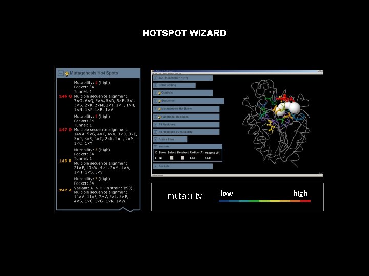 HOTSPOT WIZARD mutability low high 