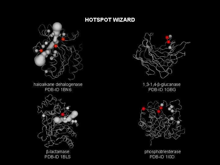 HOTSPOT WIZARD haloalkane dehalogenase PDB-ID 1 BN 6 1, 3 -1, 4 -b-glucanase PDB-ID