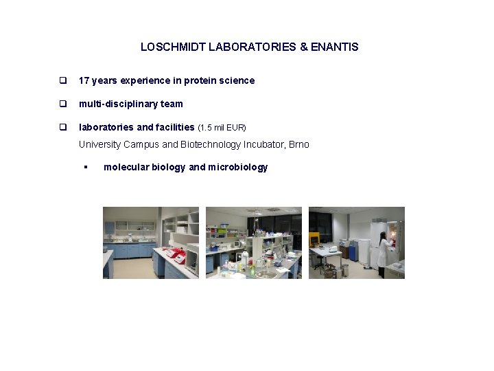 LOSCHMIDT LABORATORIES & ENANTIS q 17 years experience in protein science q multi-disciplinary team