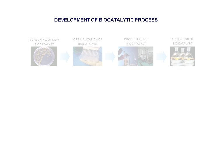 DEVELOPMENT OF BIOCATALYTIC PROCESS 