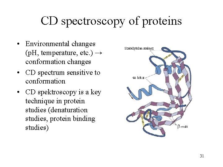 CD spectroscopy of proteins • Environmental changes (p. H, temperature, etc. ) → conformation