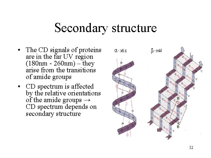 Secondary structure • The CD signals of proteins are in the far UV region