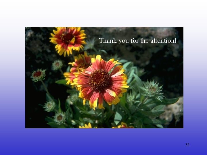 Thank you for the attention! 35 