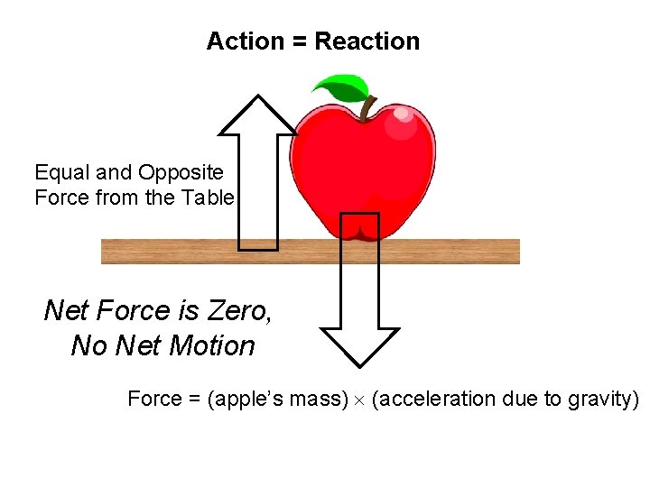 Action = Reaction Equal and Opposite Force from the Table Net Force is Zero,