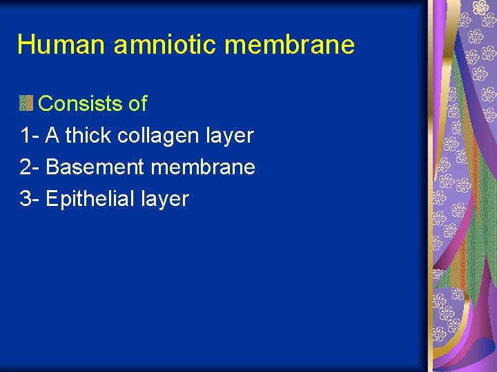 Human amniotic membrane Consists of 1 - A thick collagen layer 2 - Basement