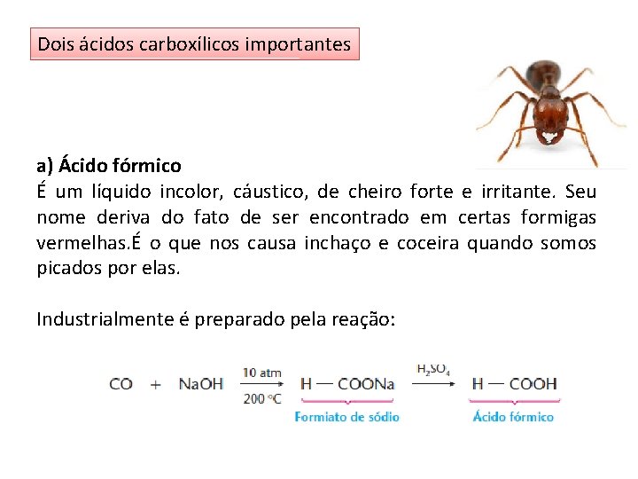 Dois ácidos carboxílicos importantes a) Ácido fórmico É um líquido incolor, cáustico, de cheiro