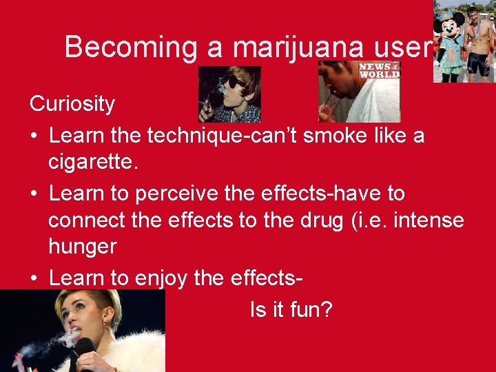 Becoming a marijuana user Curiosity • Learn the technique-can’t smoke like a cigarette. •