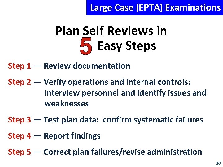 Large Case (EPTA) Examinations Plan Self Reviews in Easy Steps Step 1 — Review