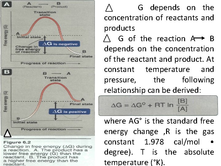 G depends on the concentration of reactants and products G of the reaction A