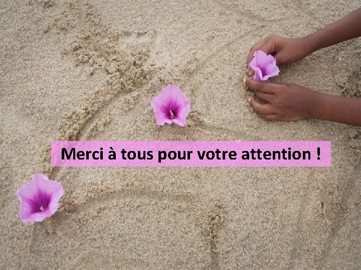 Merci à tous pour votre attention ! 