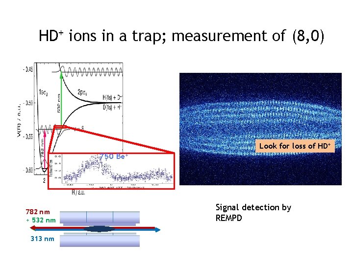 HD+ ions in a trap; measurement of (8, 0) Look for loss of HD+