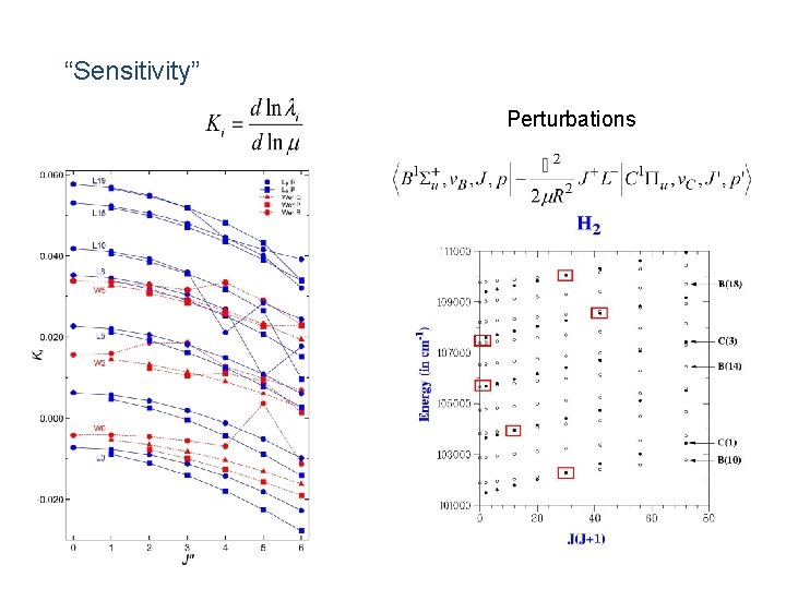 “Sensitivity” Perturbations 