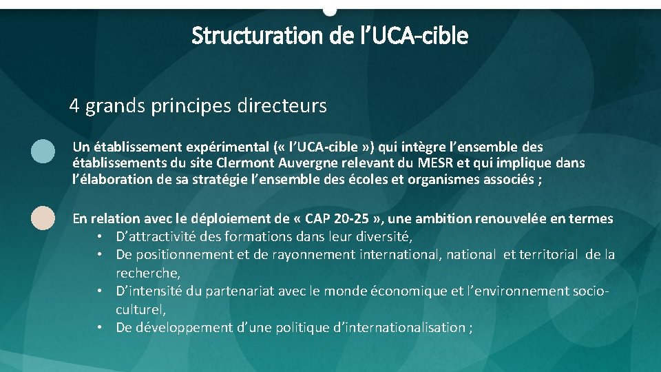 Structuration de l’UCA-cible 4 grands principes directeurs Un établissement expérimental ( « l’UCA-cible »