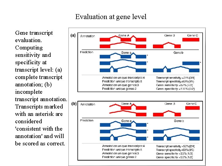 Evaluation at gene level Gene transcript evaluation. Computing sensitivity and specificity at transcript level: