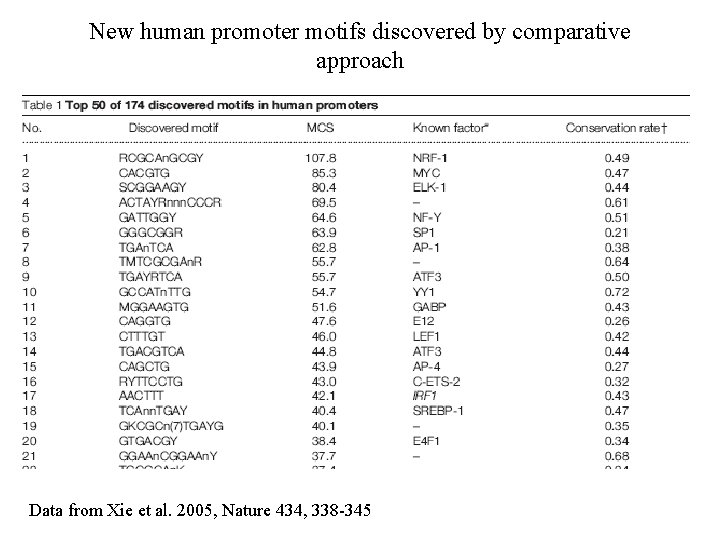 New human promoter motifs discovered by comparative approach Data from Xie et al. 2005,