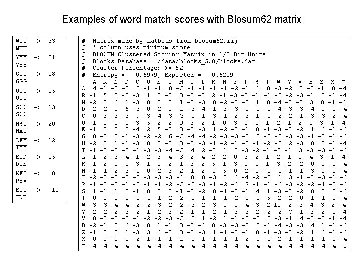 Examples of word match scores with Blosum 62 matrix WWW -> 33 YYY ->