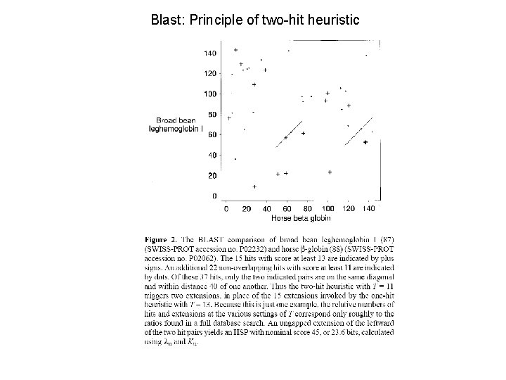 Blast: Principle of two-hit heuristic 