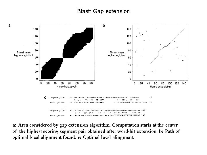Blast: Gap extension. a: Area considered by gap extension algorithm. Computation starts at the