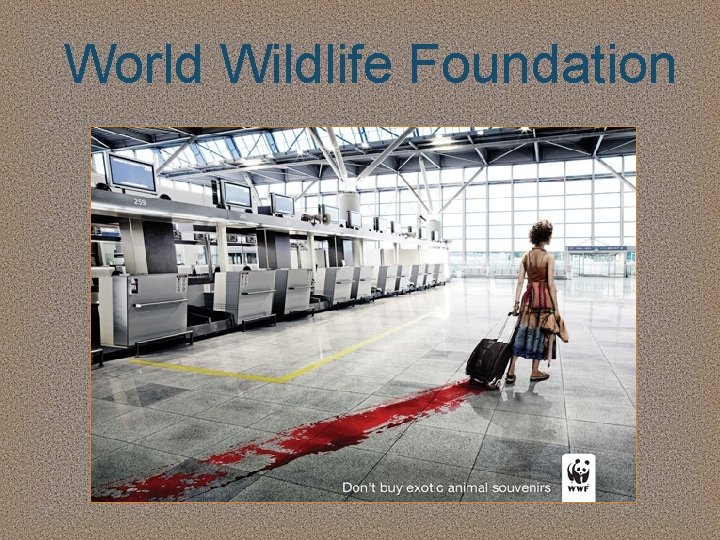 World Wildlife Foundation 