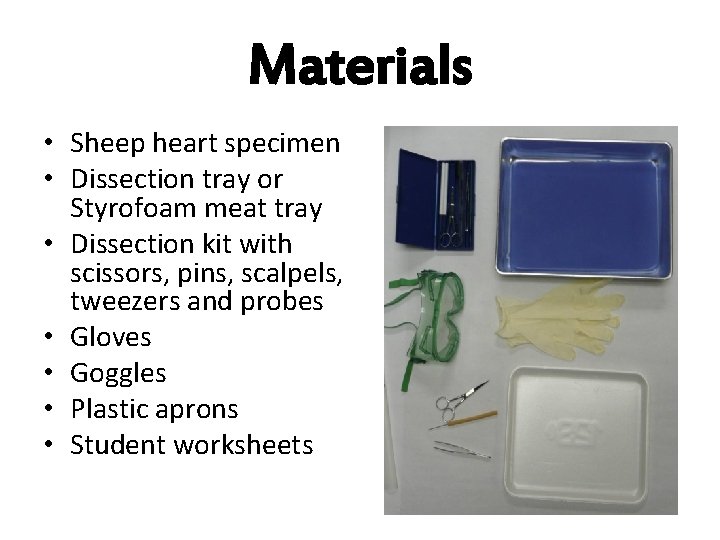 Materials • Sheep heart specimen • Dissection tray or Styrofoam meat tray • Dissection