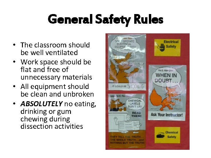 General Safety Rules • The classroom should be well ventilated • Work space should