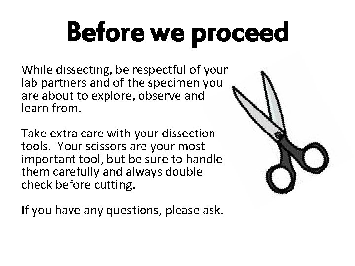 Before we proceed While dissecting, be respectful of your lab partners and of the