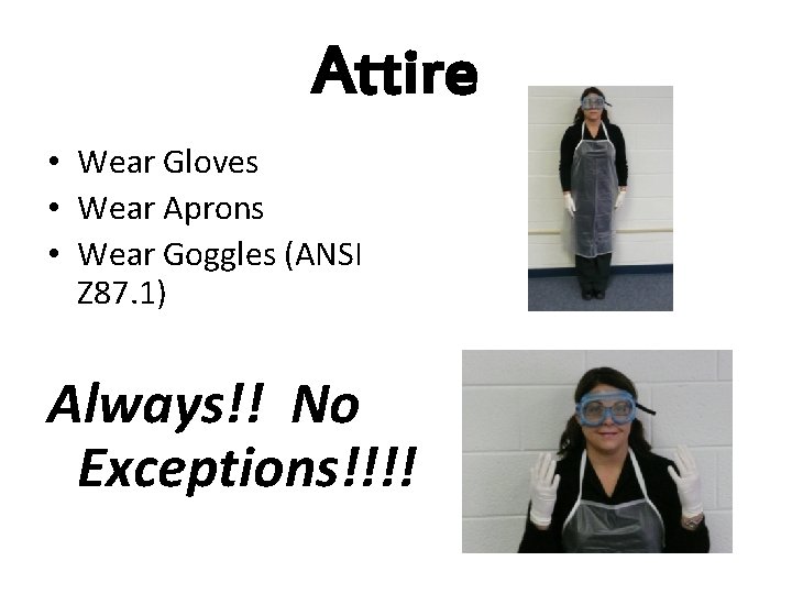 Attire • Wear Gloves • Wear Aprons • Wear Goggles (ANSI Z 87. 1)