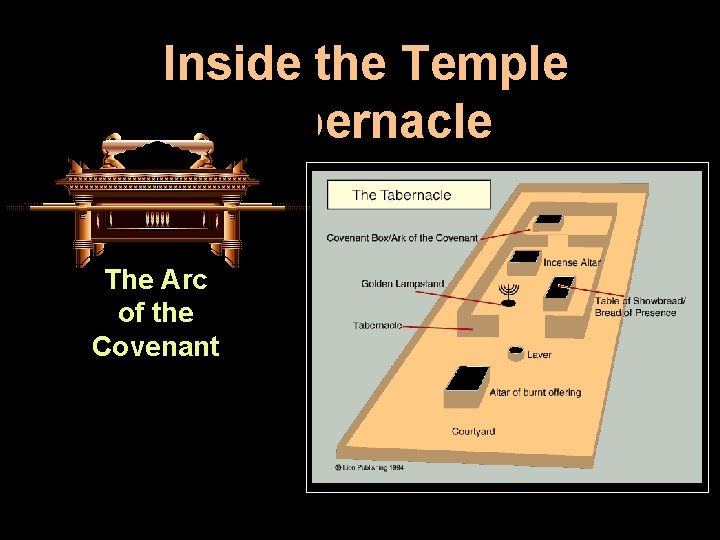 Inside the Temple Tabernacle The Arc of the Covenant 