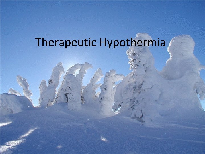 Therapeutic Hypothermia 