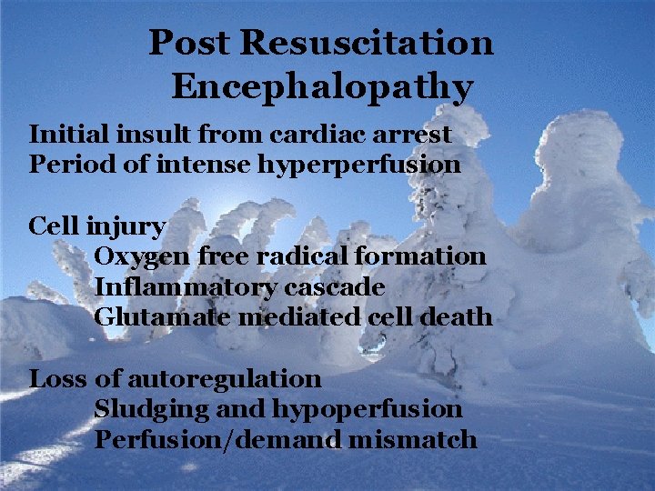 Post Resuscitation Encephalopathy Initial insult from cardiac arrest Period of intense hyperperfusion Cell injury