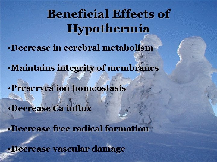 Beneficial Effects of Hypothermia • Decrease in cerebral metabolism • Maintains integrity of membranes