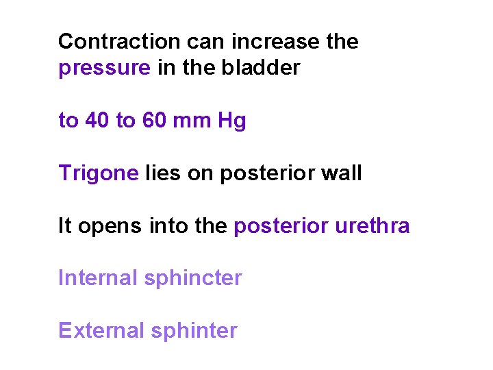Contraction can increase the pressure in the bladder to 40 to 60 mm Hg