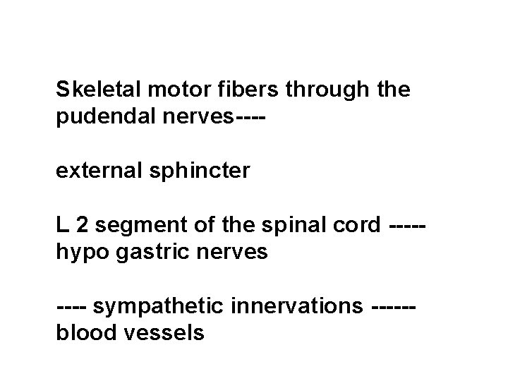 Skeletal motor fibers through the pudendal nerves---external sphincter L 2 segment of the spinal