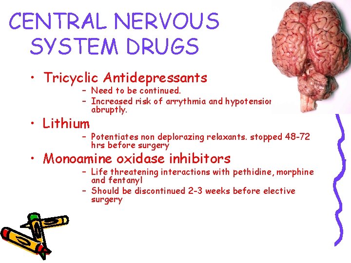 CENTRAL NERVOUS SYSTEM DRUGS • Tricyclic Antidepressants – Need to be continued. – Increased